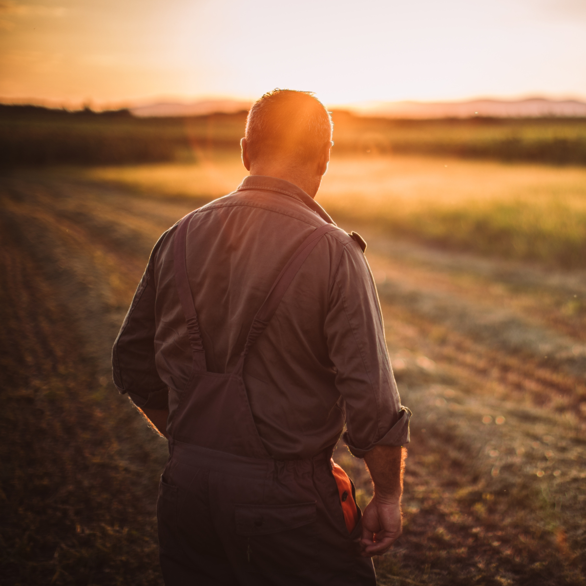 agriculteur couché du soleil