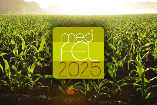 Participation MedFEL 2025