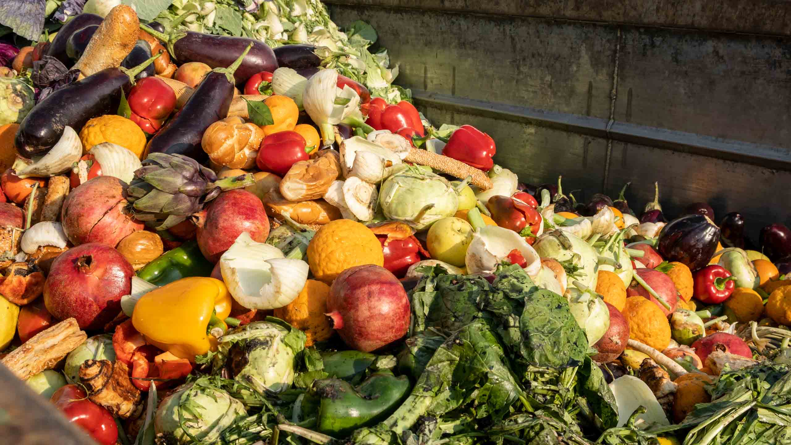 Principales causes du gaspillage alimentaire ?