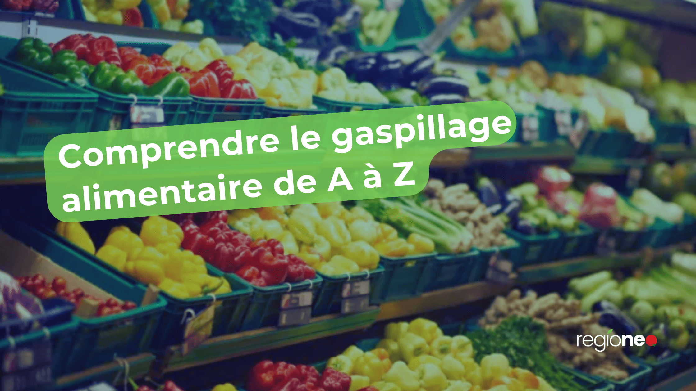 Gaspillage alimentaire : ce que vous devez vraiment savoir