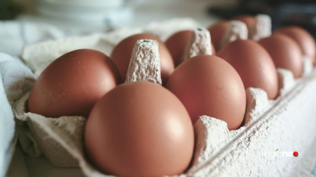 pourquoi congeler un œuf