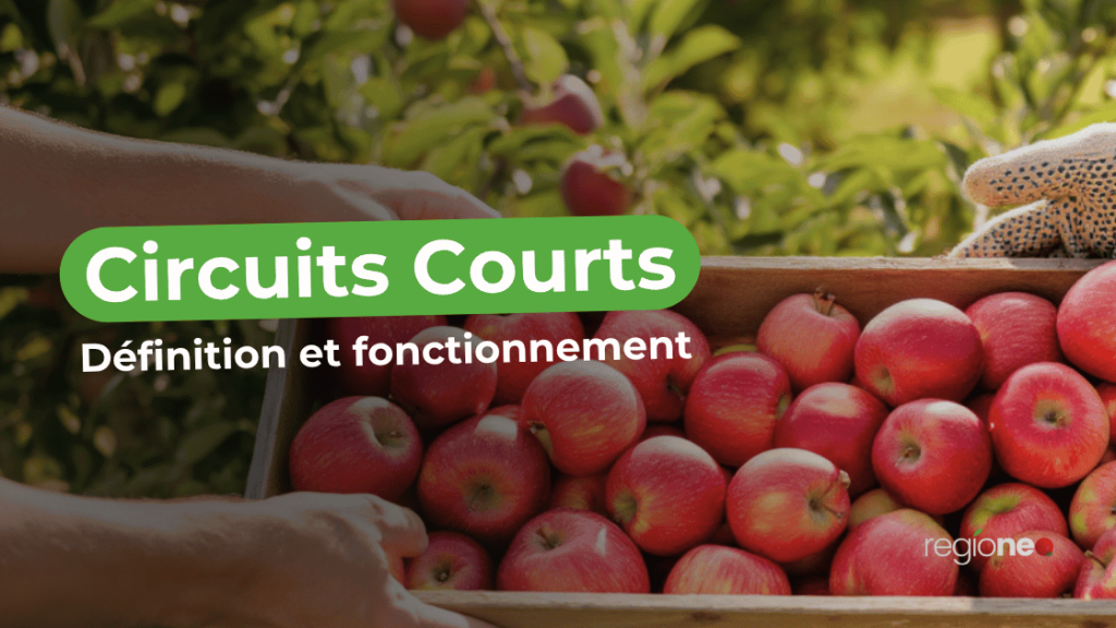 Qu'est-ce qu'un circuit court ?