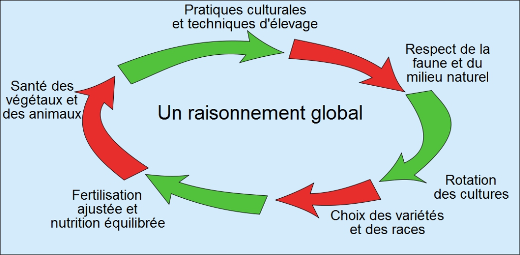 Grands principes de l'agriculture raisonnée