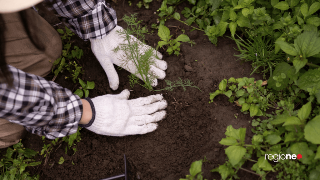 Définition Agriculture Raisonnée