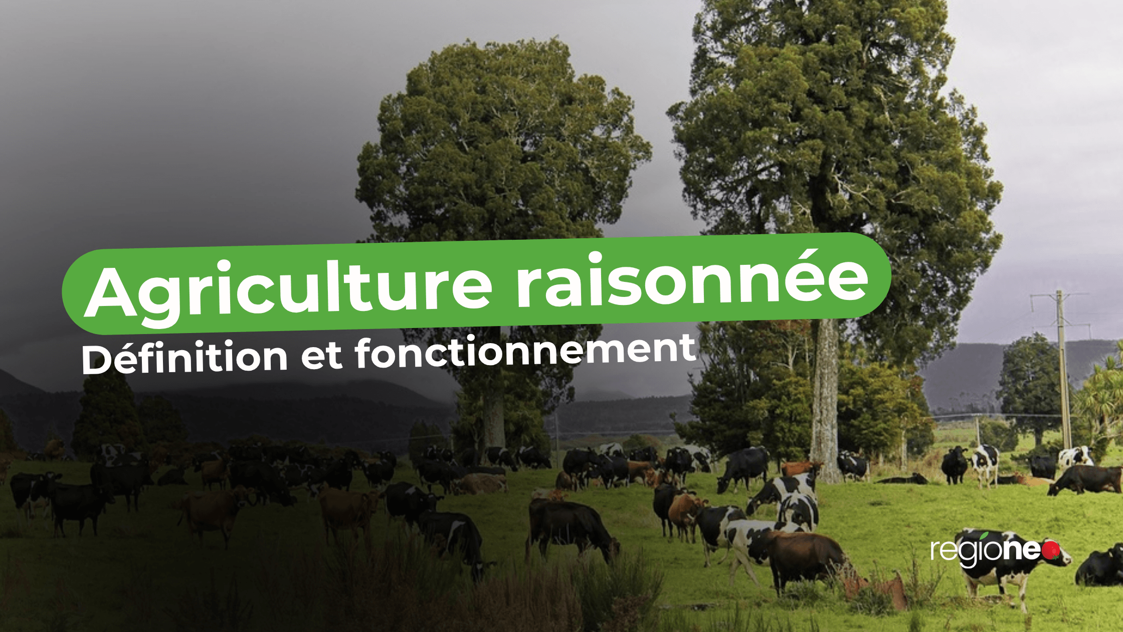 Agriculture raisonnée