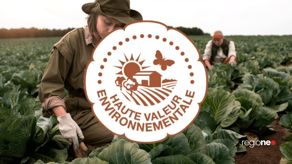piliers de la certification HVE